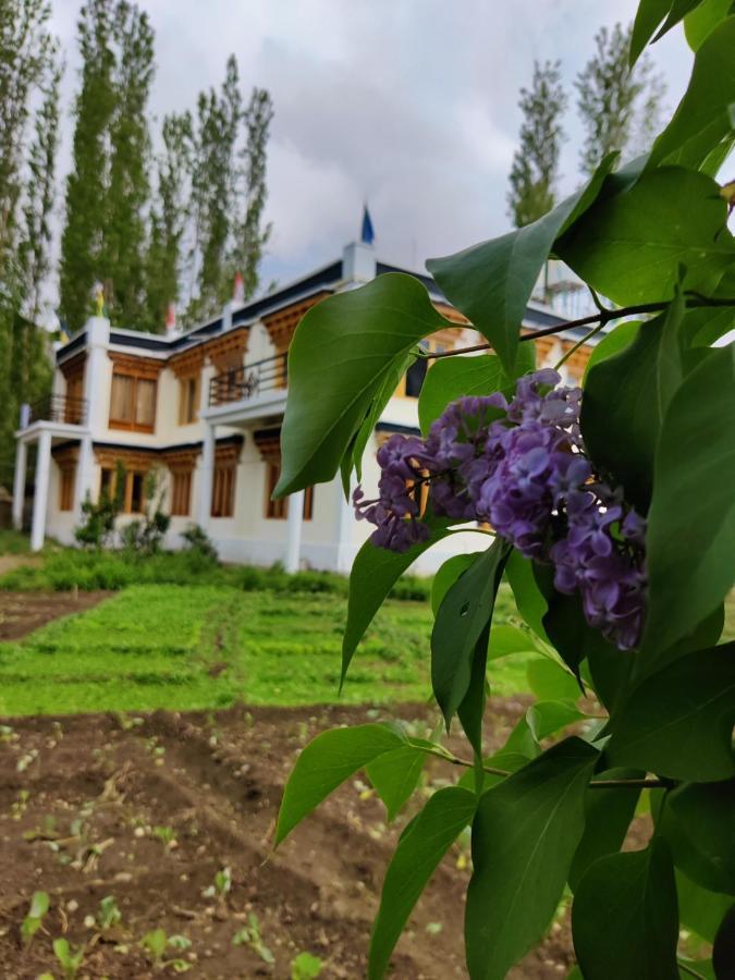 Tongspon Inn Leh Bagian luar foto